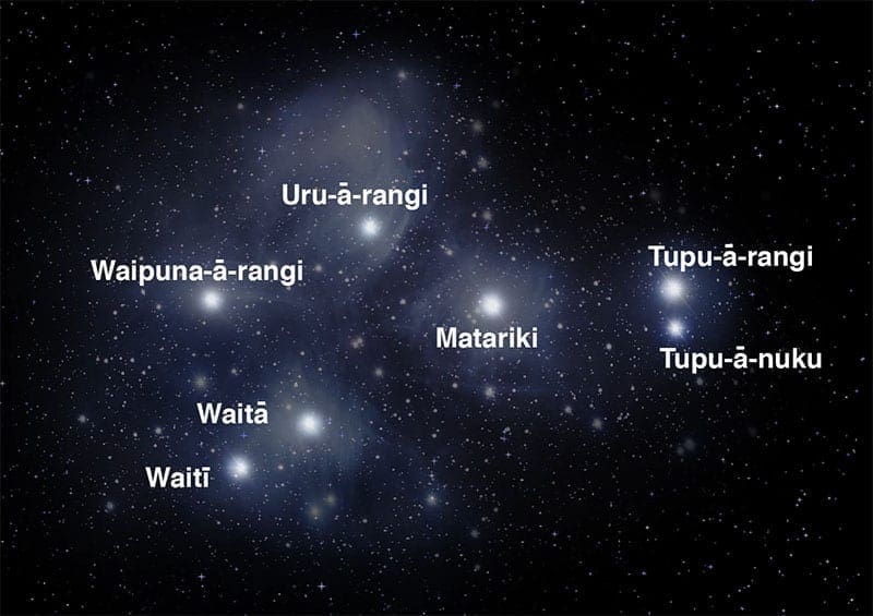 Image result for stars of matariki